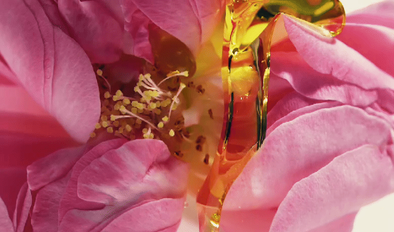 1g of Beauty: The Power of 3,000 Roses in Every Drop