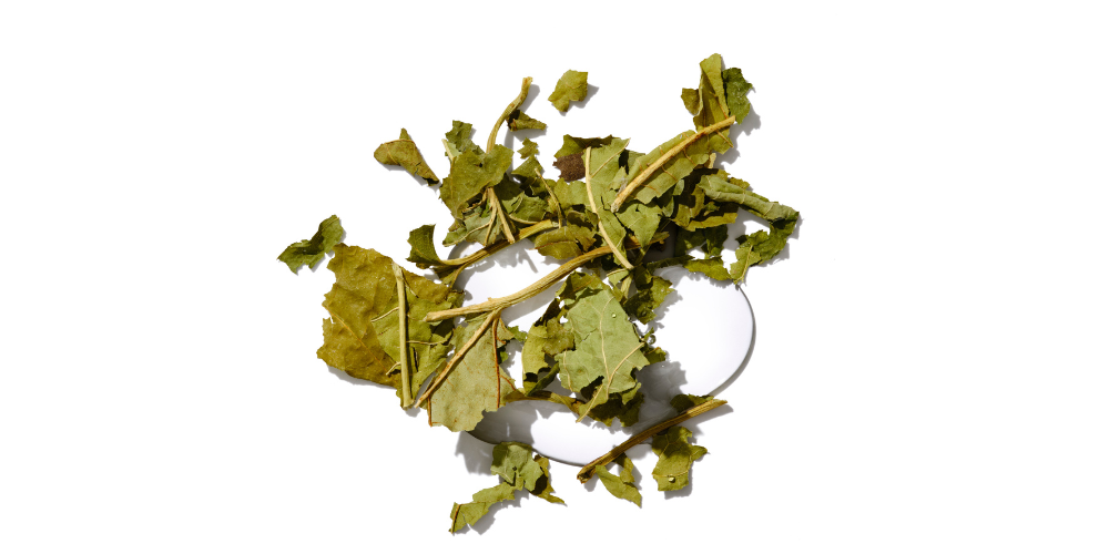 Cica - Centella Asiatica Extract