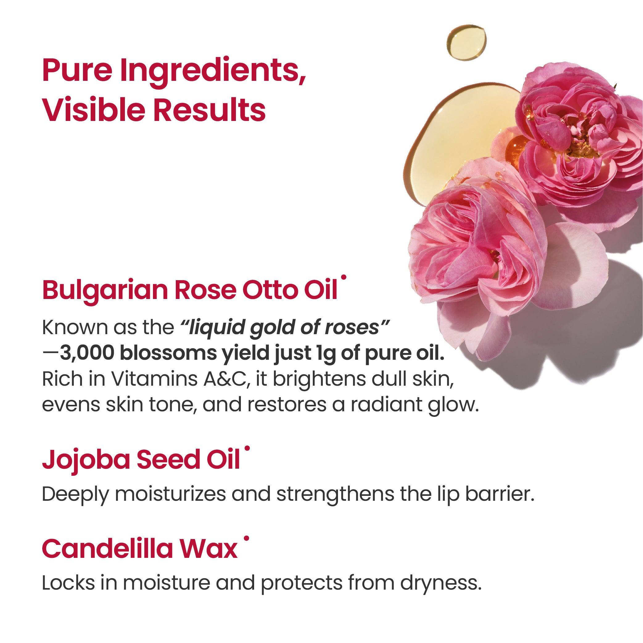 Lip Treatment Balm (Pure Red)